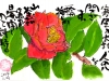 01-19