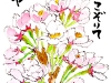 04-20