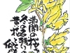 04-06