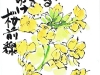 04-20