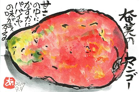 奄美のマンゴー