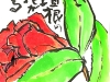 山茶花