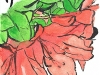 つつじ