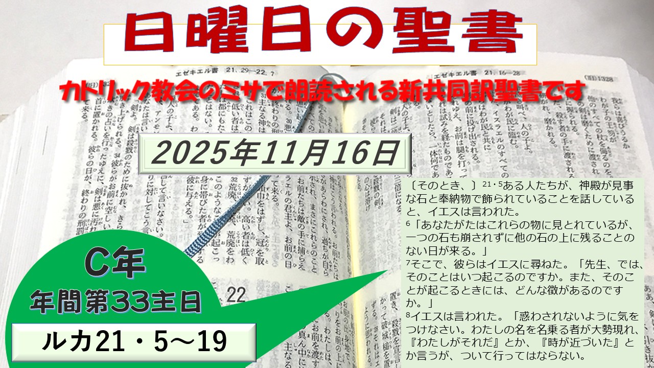 年間第33主日（C年）の聖書⇒2025/11/16
