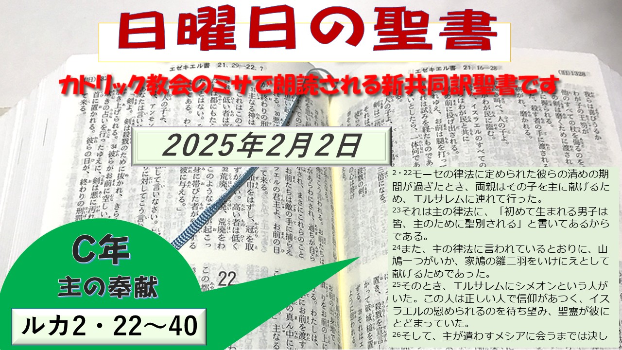 主の奉献（C年）の聖書⇒2025/02/02