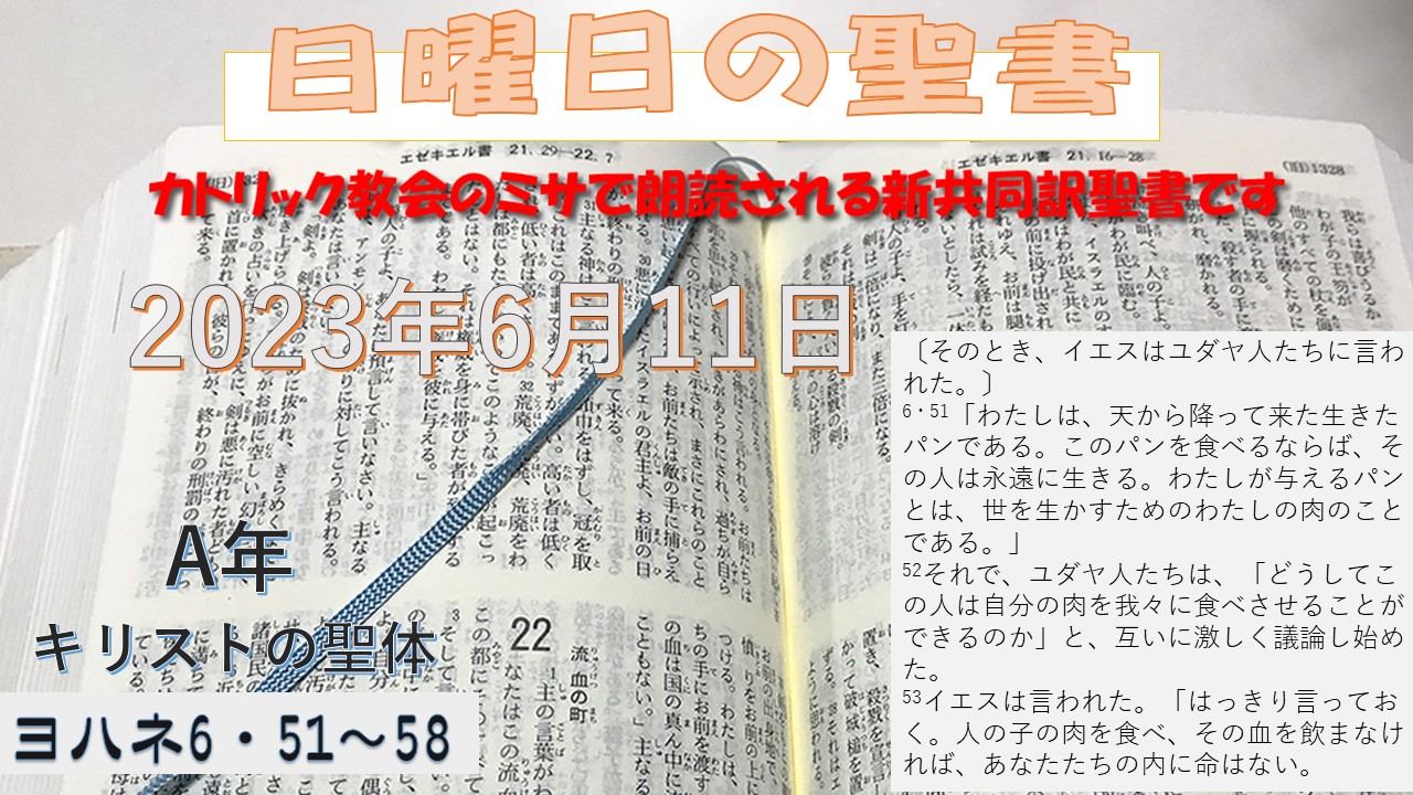 キリストの聖体（A年）の聖書