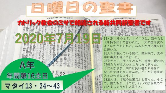 年間第16主日(A年)の聖書