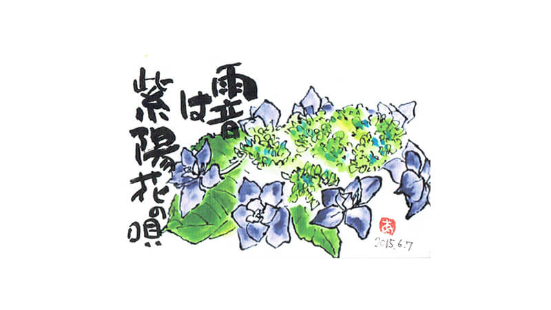 絵手紙--紫陽花