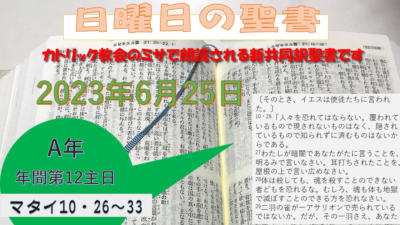 年間第12主日（A年）の説教