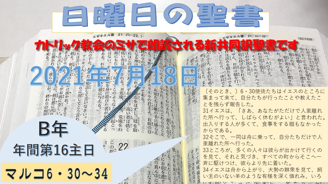 年間第16主日(B年)の聖書